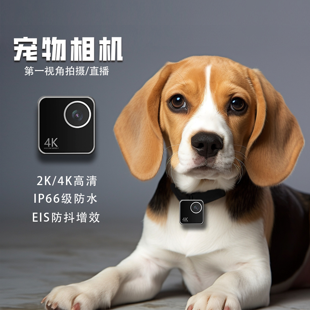 Cameras - Animal cat dog pet camera first